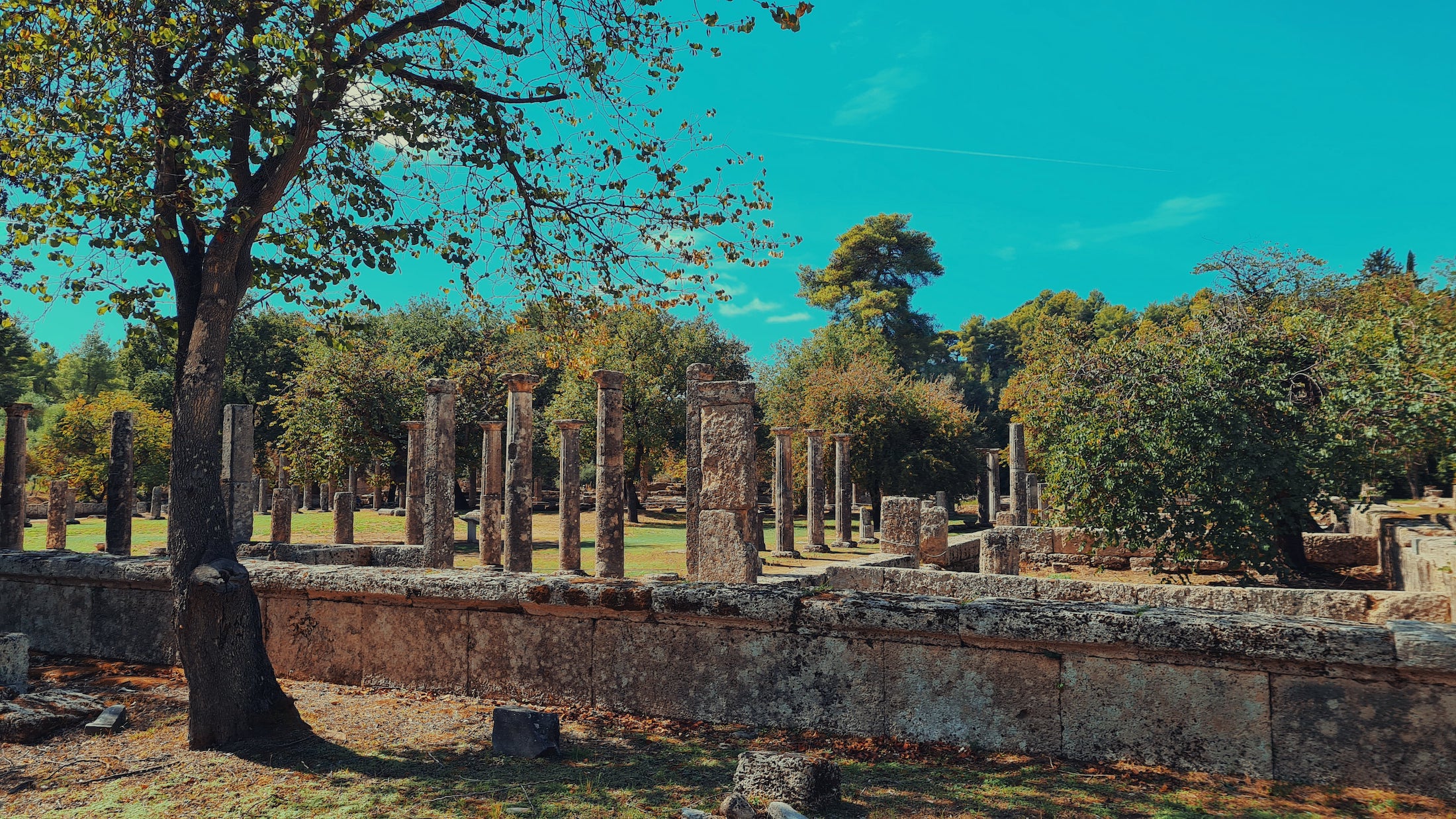 Read more about the article The Archaeological site of Olympia